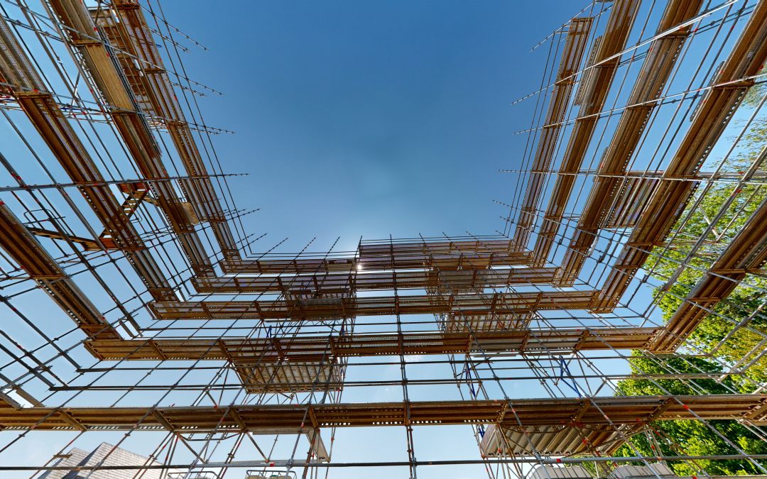 3D Scan Project_AF_06