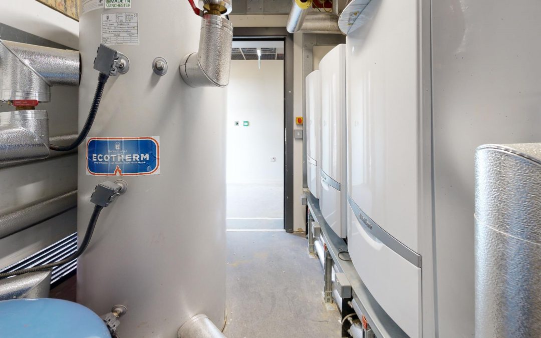 3D Scan Project_23_7_OL